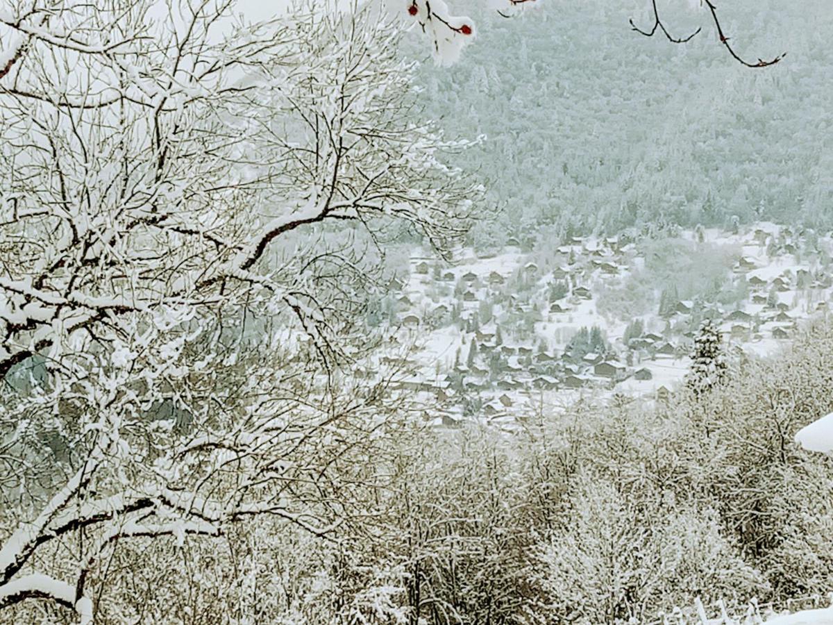 Aillon-le-Jeune Le Chalet Du Blanc Spa Yoga المظهر الخارجي الصورة